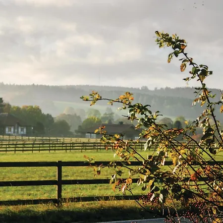 度假居 Pet Friendly In Oberaula-hausen *