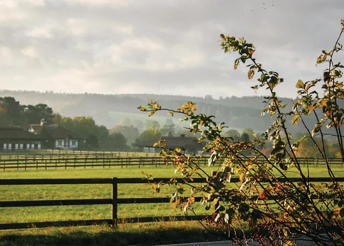 Holiday home Pet Friendly In Oberaula-hausen *