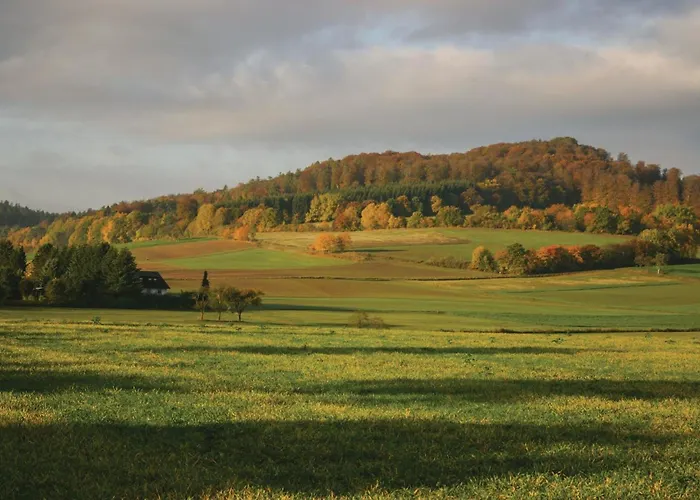 Pet Friendly In Oberaula-hausen Holiday home Hausen (Schwalm-Eder)